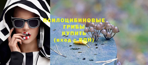 МДМА Богданович