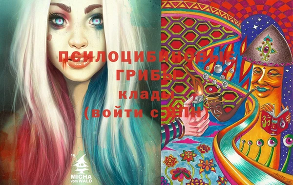 винт Богородицк