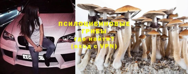 винт Богородицк